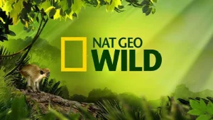 National Geographic Wild